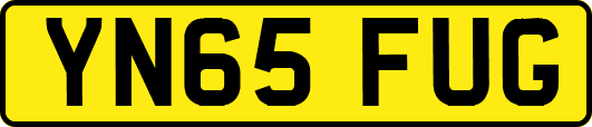 YN65FUG