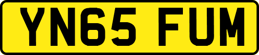 YN65FUM