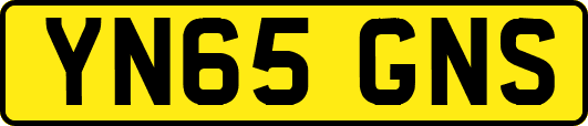 YN65GNS