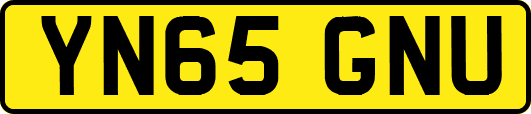 YN65GNU