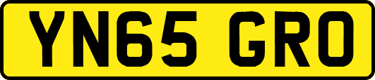 YN65GRO