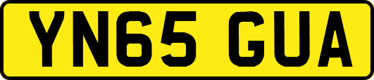 YN65GUA