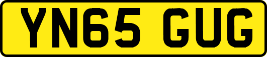 YN65GUG