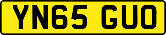 YN65GUO