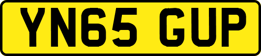 YN65GUP