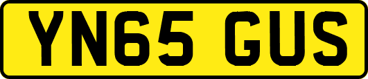 YN65GUS