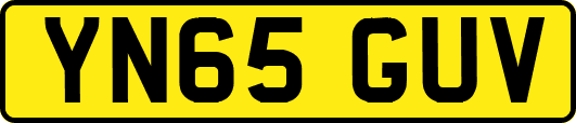 YN65GUV