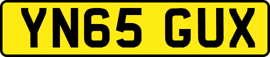 YN65GUX