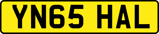 YN65HAL