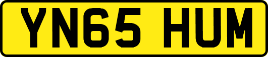 YN65HUM