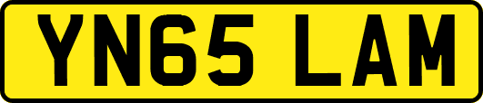 YN65LAM