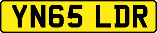 YN65LDR