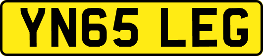 YN65LEG