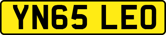 YN65LEO