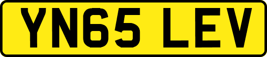 YN65LEV
