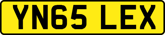 YN65LEX