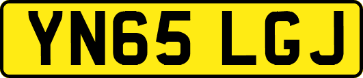 YN65LGJ