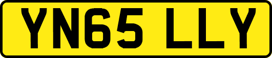 YN65LLY