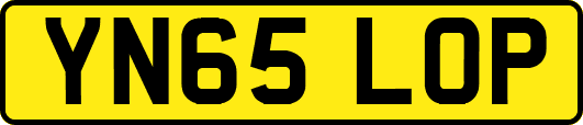 YN65LOP