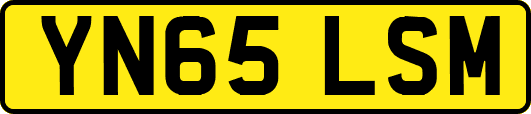YN65LSM
