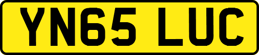 YN65LUC