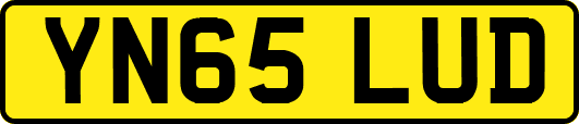 YN65LUD