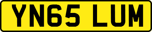 YN65LUM