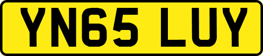 YN65LUY