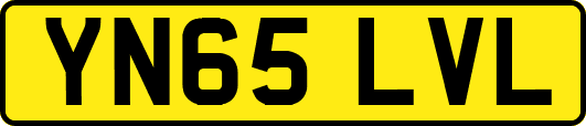 YN65LVL