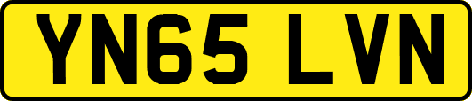 YN65LVN