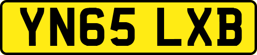 YN65LXB