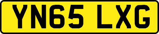 YN65LXG