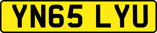 YN65LYU