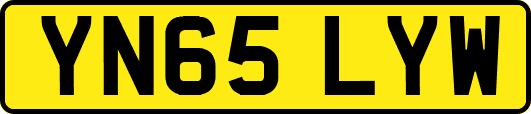 YN65LYW