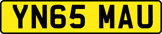 YN65MAU