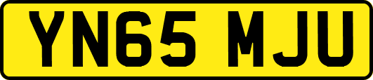YN65MJU