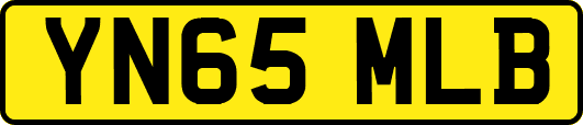 YN65MLB