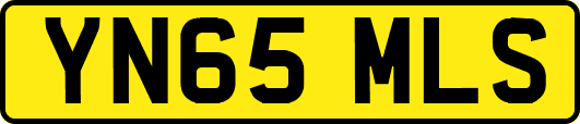 YN65MLS