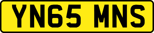 YN65MNS