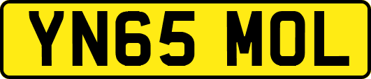 YN65MOL