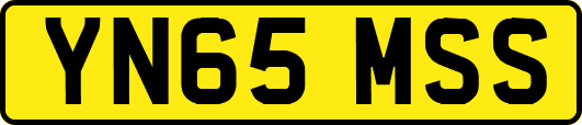 YN65MSS