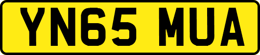 YN65MUA