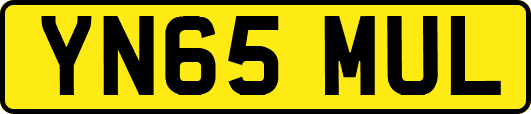 YN65MUL