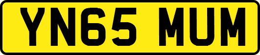 YN65MUM