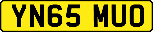 YN65MUO