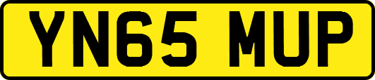 YN65MUP
