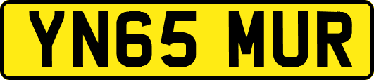YN65MUR