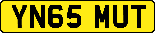 YN65MUT