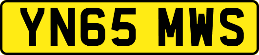 YN65MWS