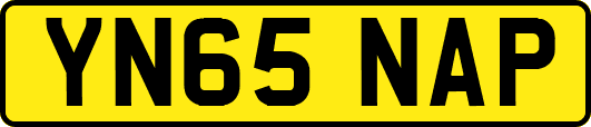 YN65NAP